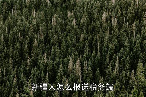 新疆人怎么報送稅務端