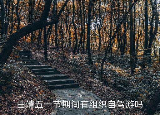 曲靖五一節(jié)期間有組織自駕游嗎