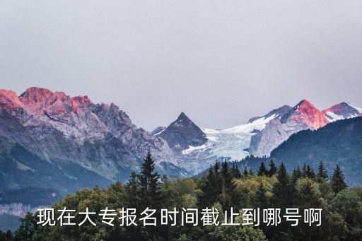 現在大專報名時間截止到哪號啊