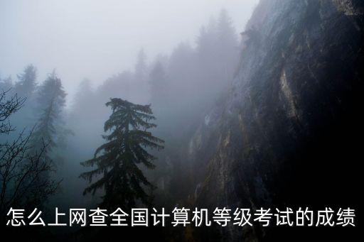 怎么上網查全國計算機等級考試的成績