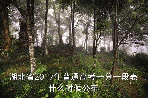 湖北省2017年普通高考一分一段表什么時候公布