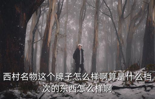 西村名物，西村名物和百麗哪個好