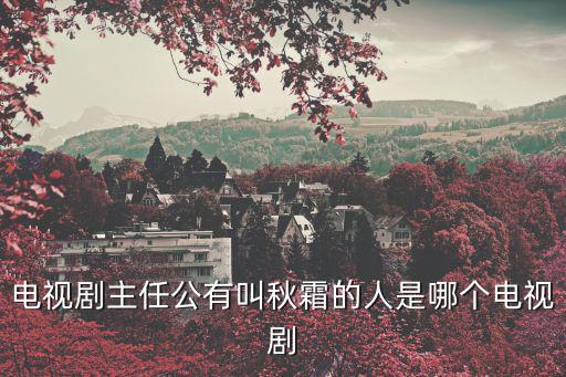 電視劇主任公有叫秋霜的人是哪個電視劇