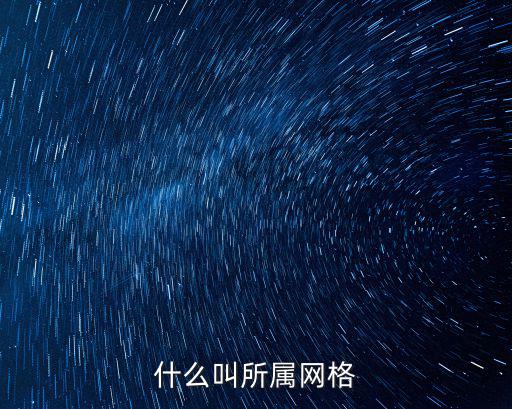 什么叫所屬網(wǎng)格