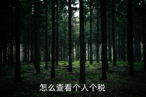 怎么查看個(gè)人個(gè)稅