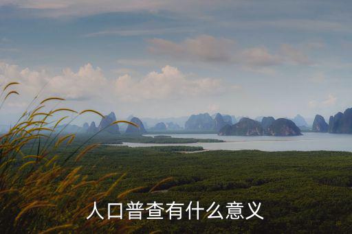 普查是什么意思，人口普查有什么意義