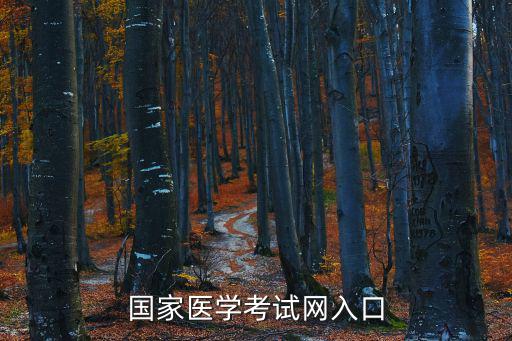 國家醫(yī)學(xué)考試網(wǎng)登錄入口，國家醫(yī)學(xué)考試網(wǎng)入口