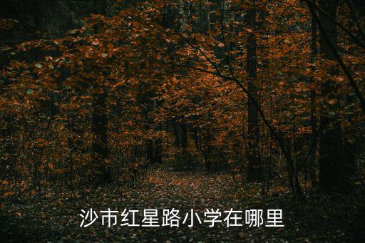 沙市紅星路小學(xué)在哪里