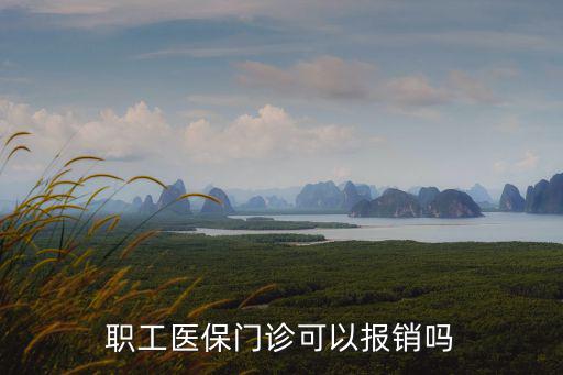 職工醫保門診可以報銷嗎