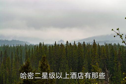 哈密二星級以上酒店有那些