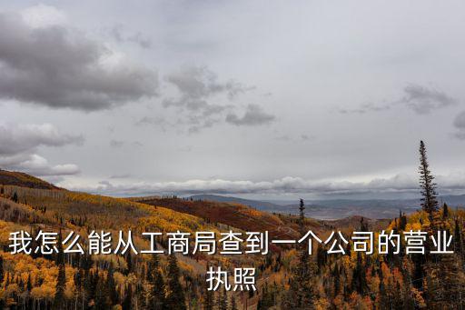 如何查營(yíng)業(yè)執(zhí)照，怎么去網(wǎng)上查詢工商營(yíng)業(yè)執(zhí)照
