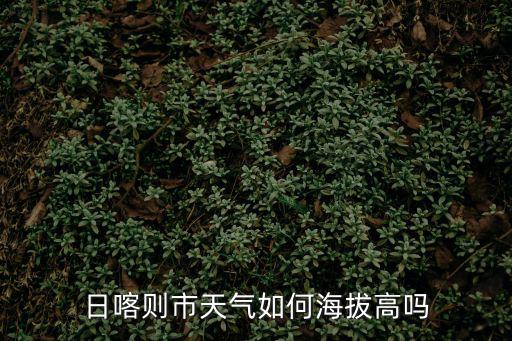 日喀則市天氣如何海拔高嗎