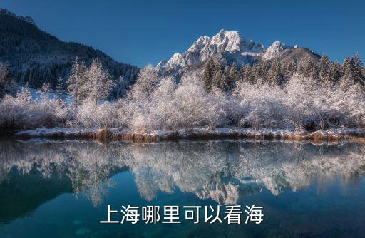 上海哪里可以看海