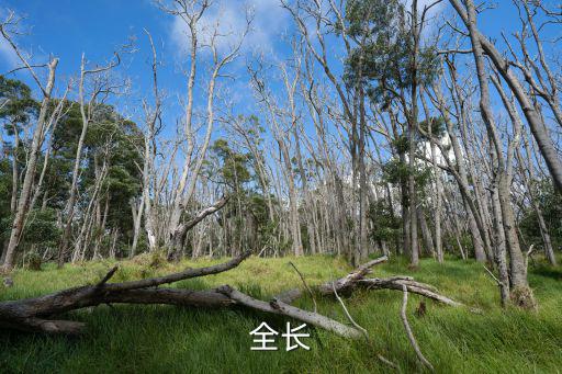 全長(zhǎng)，隧道全長(zhǎng)指什么