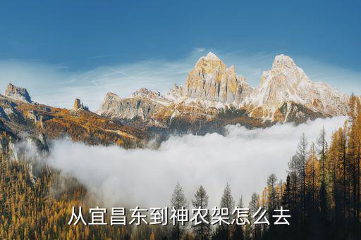 從宜昌東到神農(nóng)架怎么去