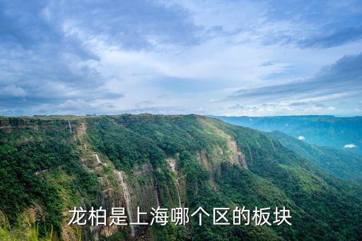 龍柏，龍柏是被子植物嗎