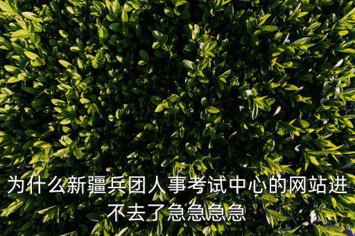為什么新疆兵團人事考試中心的網站進不去了急急急急