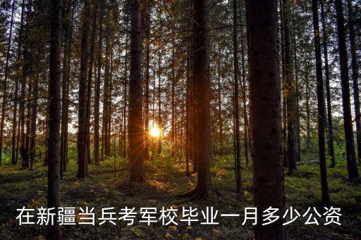 在新疆當(dāng)兵考軍校畢業(yè)一月多少公資