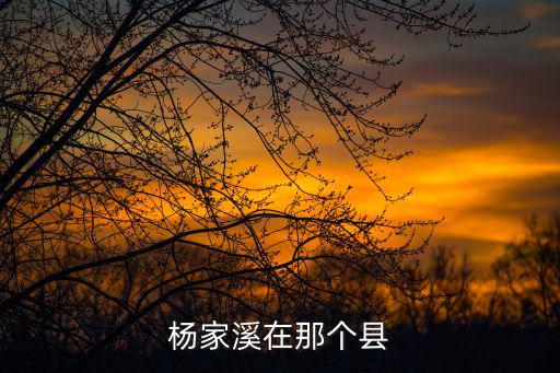 楊家溪在那個(gè)縣