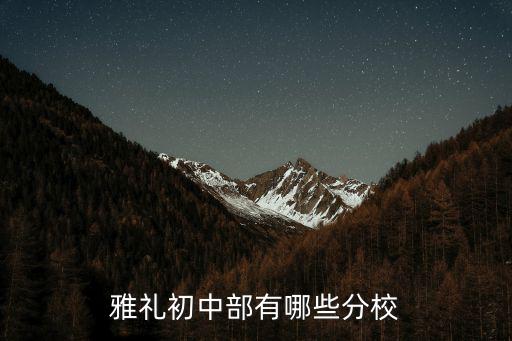 岳陽雅禮實驗學校，雅禮初中部有哪些分校