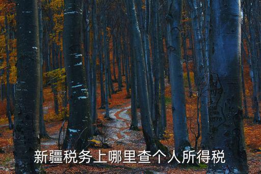 新疆稅務上哪里查個人所得稅