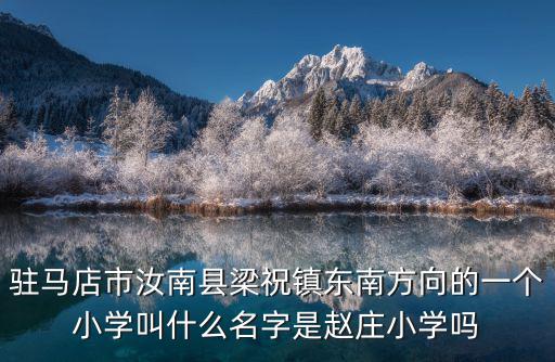 駐馬店市汝南縣梁祝鎮東南方向的一個小學叫什么名字是趙莊小學嗎