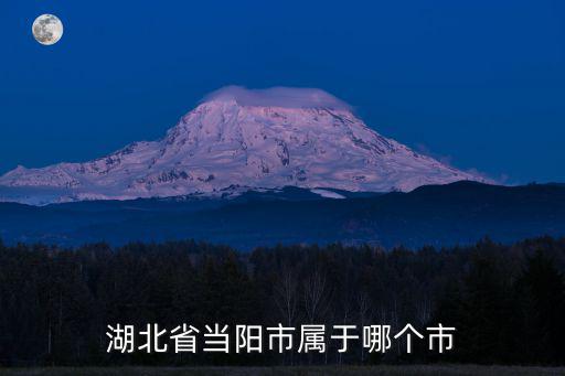 湖北省當陽市屬于哪個市