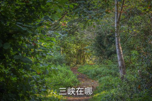三峽在哪
