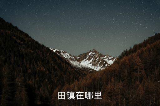 田鎮在哪里