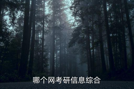 哪個網考研信息綜合
