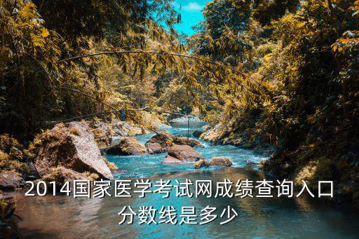 2014國家醫(yī)學考試網(wǎng)成績查詢?nèi)肟诜謹?shù)線是多少