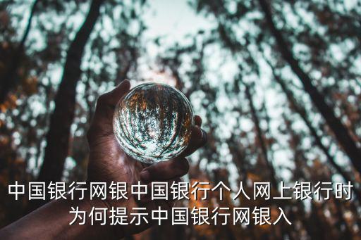 中國銀行網銀中國銀行個人網上銀行時為何提示中國銀行網銀入