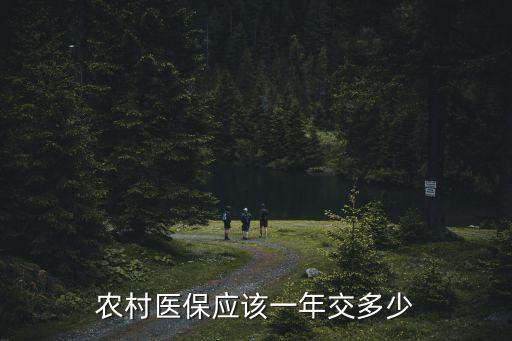 農村醫保應該一年交多少