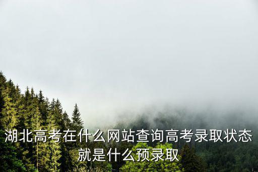 湖北高考在什么網(wǎng)站查詢高考錄取狀態(tài)就是什么預(yù)錄取