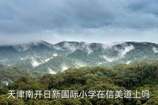 天津南開日新國際小學在信美道上嗎