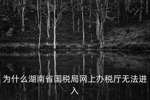 湖南國稅局官網(wǎng)，湖南省國稅網(wǎng)為什么打不開