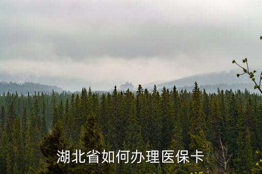 湖北省如何辦理醫保卡