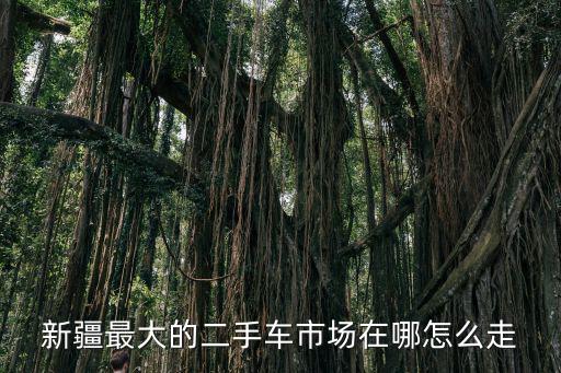 新疆最大的二手車市場在哪怎么走