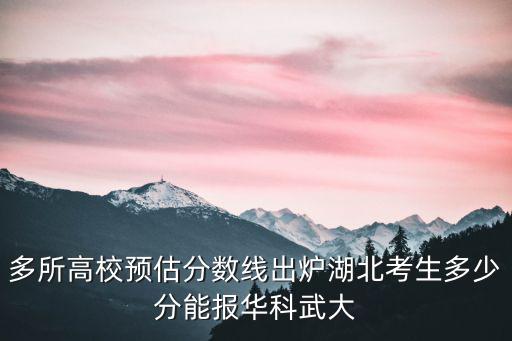 多所高校預估分數線出爐湖北考生多少分能報華科武大