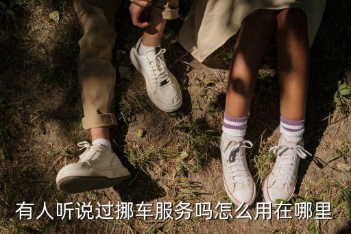 有人聽說過挪車服務嗎怎么用在哪里