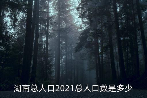 湖南總?cè)丝冢鲜俏覈丝诒姸嗟氖》葜豢側(cè)丝诩s多少萬