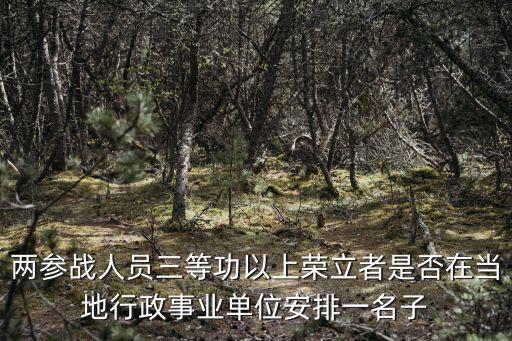 兩參戰(zhàn)人員三等功以上榮立者是否在當(dāng)?shù)匦姓聵I(yè)單位安排一名子