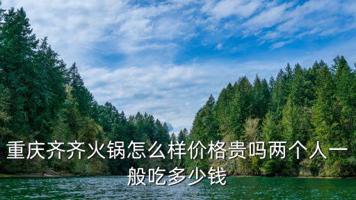重慶齊齊火鍋怎么樣價格貴嗎兩個人一般吃多少錢
