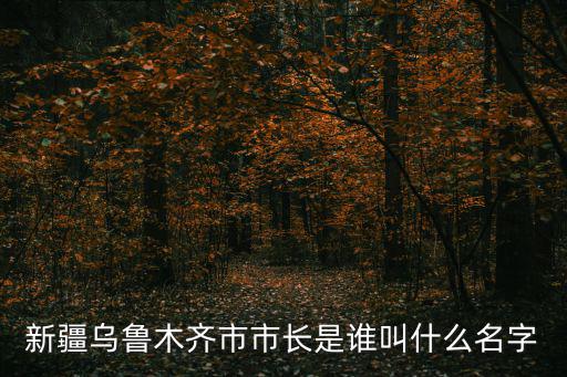新疆烏魯木齊市市長是誰叫什么名字