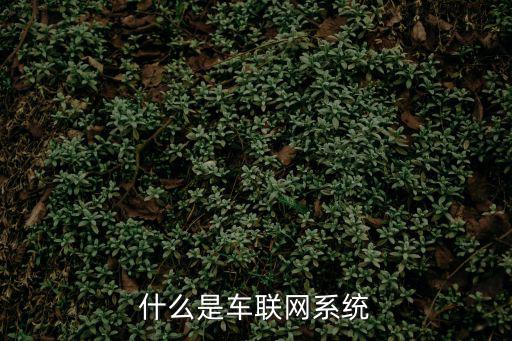 什么是車聯網系統