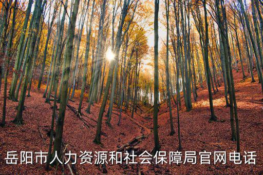岳陽(yáng)市人力資源和社會(huì)保障局官網(wǎng)電話