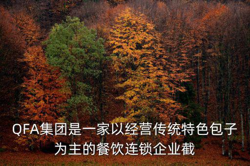 QFA集團是一家以經營傳統特色包子為主的餐飲連鎖企業截