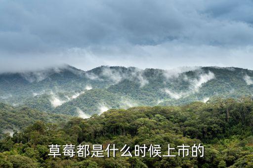 草莓都是什么時候上市的