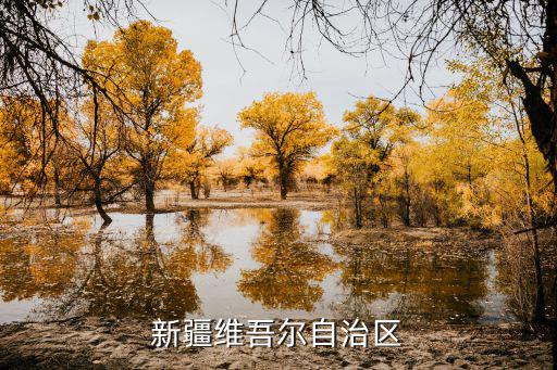 新疆維吾爾自治區