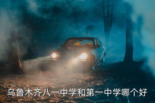 烏魯木齊八一中學(xué)和第一中學(xué)哪個好
